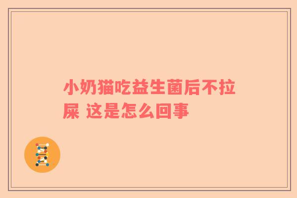 小奶猫吃益生菌后不拉屎 这是怎么回事