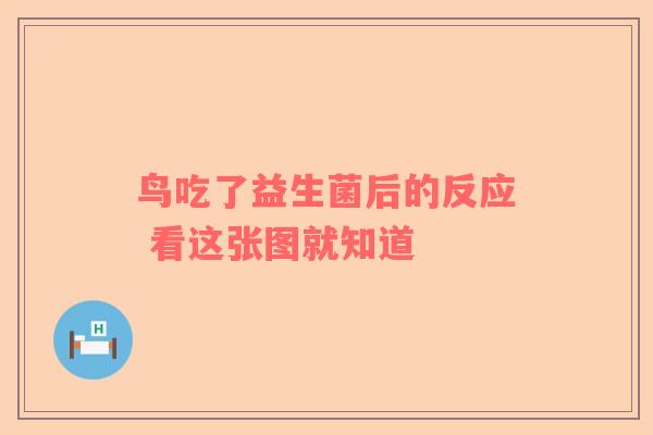 鸟吃了益生菌后的反应 看这张图就知道