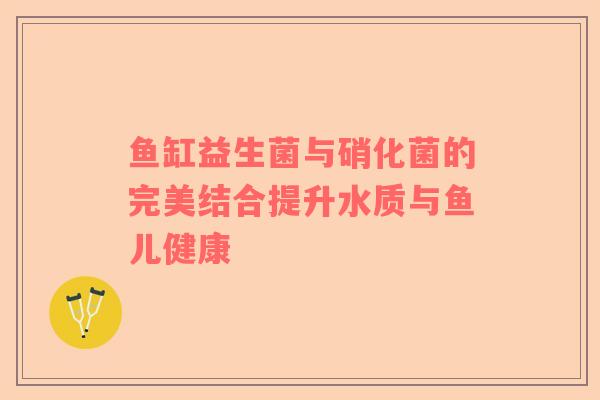 鱼缸益生菌与硝化菌的完美结合提升水质与鱼儿健康