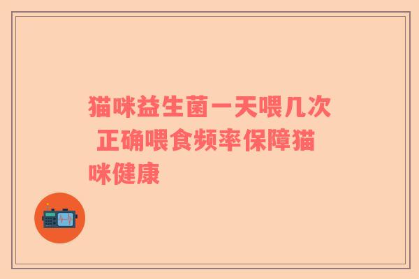 猫咪益生菌一天喂几次 正确喂食频率保障猫咪健康
