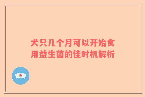 犬只几个月可以开始食用益生菌的佳时机解析
