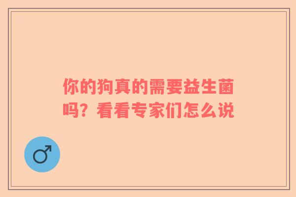 你的狗真的需要益生菌吗？看看专家们怎么说