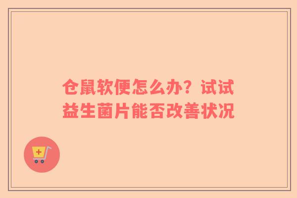 仓鼠软便怎么办？试试益生菌片能否改善状况