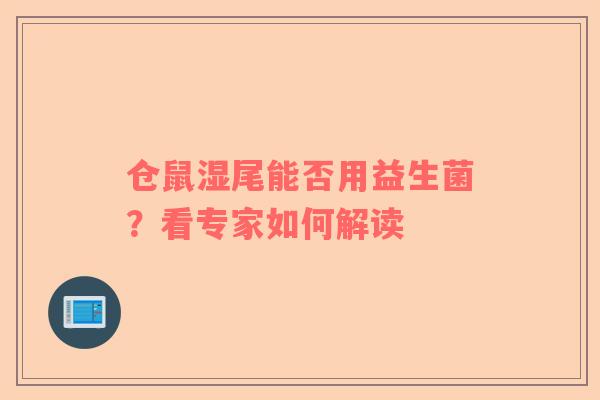 仓鼠湿尾能否用益生菌？看专家如何解读