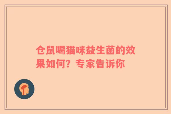 仓鼠喝猫咪益生菌的效果如何？专家告诉你
