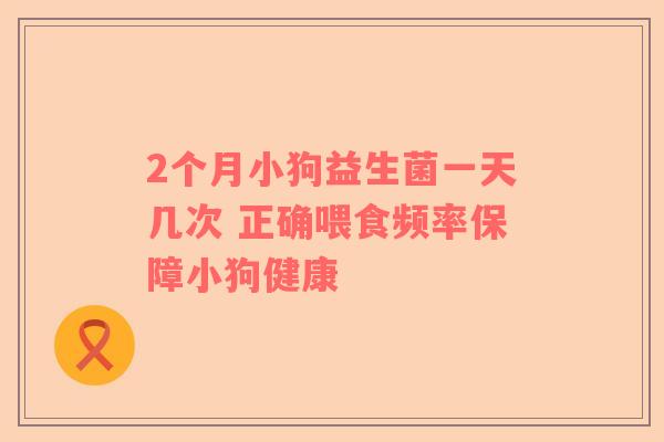 2个月小狗益生菌一天几次 正确喂食频率保障小狗健康
