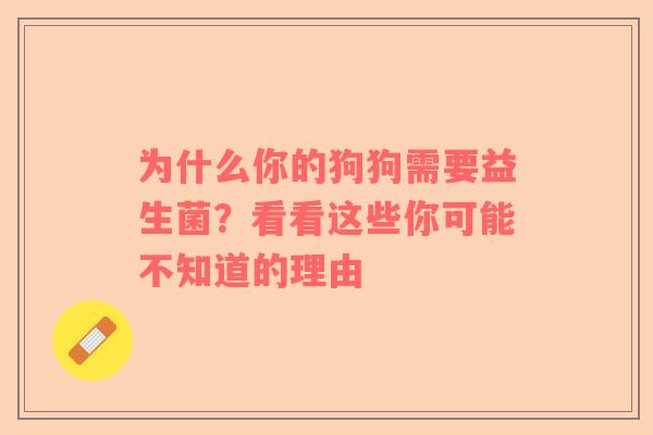 为什么你的狗狗需要益生菌？看看这些你可能不知道的理由