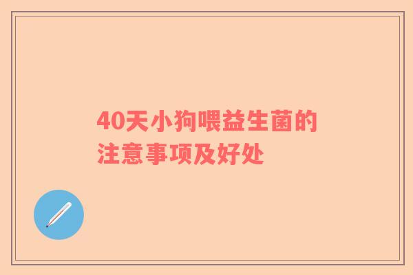 40天小狗喂益生菌的注意事项及好处