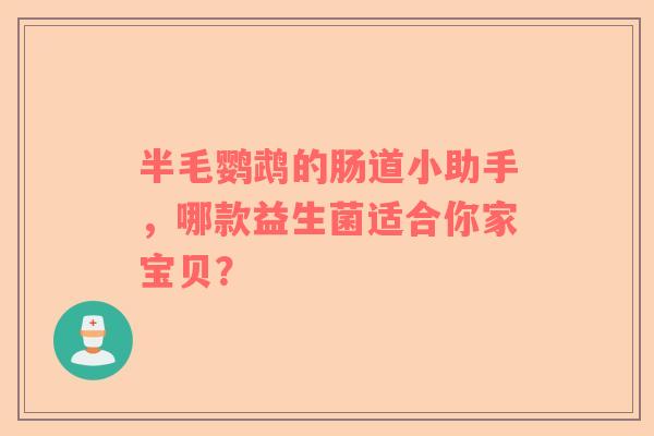 半毛鹦鹉的肠道小助手，哪款益生菌适合你家宝贝？