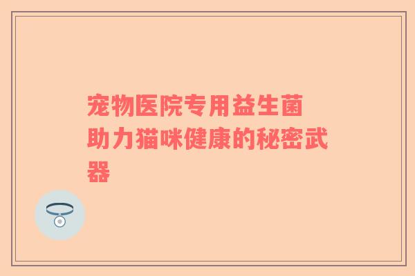 宠物医院专用益生菌 助力猫咪健康的秘密武器