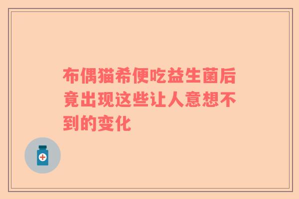 布偶猫希便吃益生菌后竟出现这些让人意想不到的变化