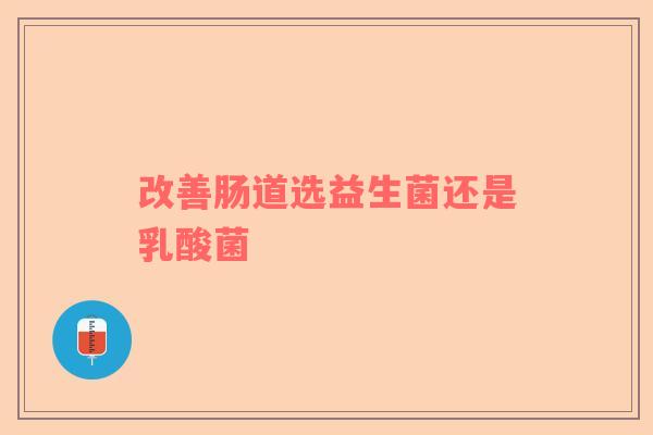改善肠道选益生菌还是乳酸菌