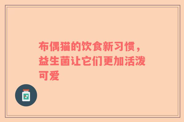 布偶猫的饮食新习惯，益生菌让它们更加活泼可爱