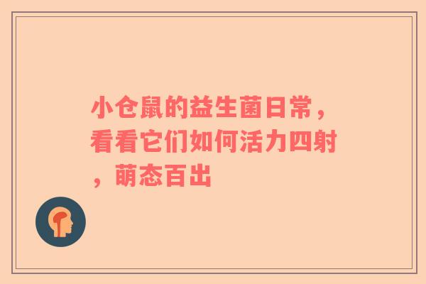 小仓鼠的益生菌日常，看看它们如何活力四射，萌态百出