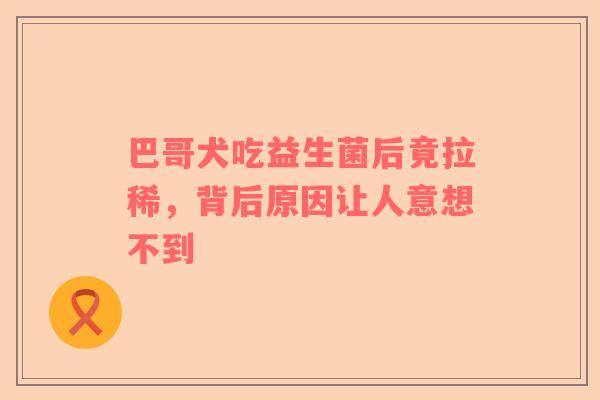 巴哥犬吃益生菌后竟拉稀，背后原因让人意想不到