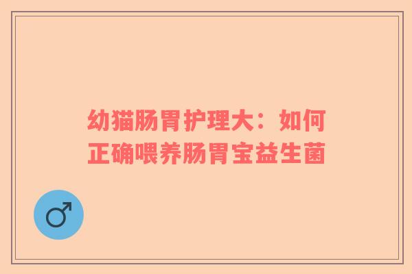 幼猫肠胃护理大：如何正确喂养肠胃宝益生菌