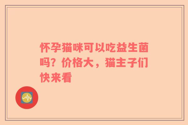 怀孕猫咪可以吃益生菌吗？价格大，猫主子们快来看