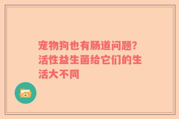 宠物狗也有肠道问题？活性益生菌给它们的生活大不同