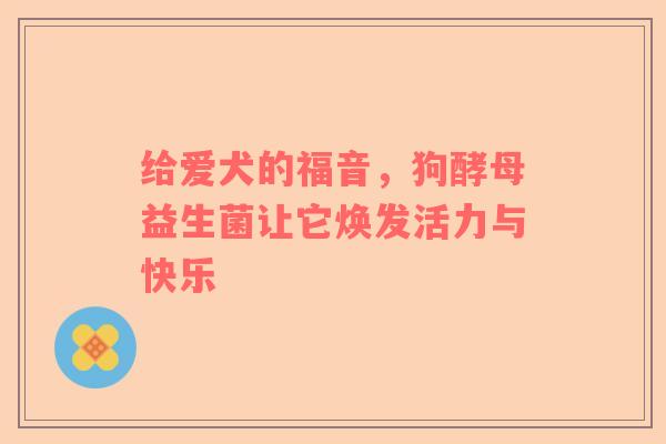 给爱犬的福音，狗酵母益生菌让它焕发活力与快乐