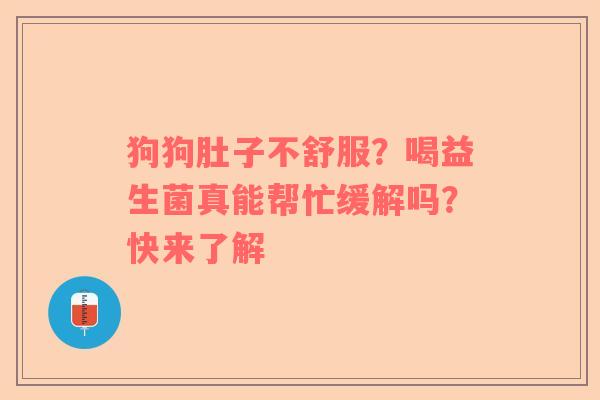 狗狗肚子不舒服？喝益生菌真能帮忙缓解吗？快来了解