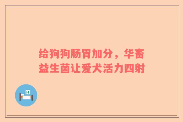 给狗狗肠胃加分，华畜益生菌让爱犬活力四射