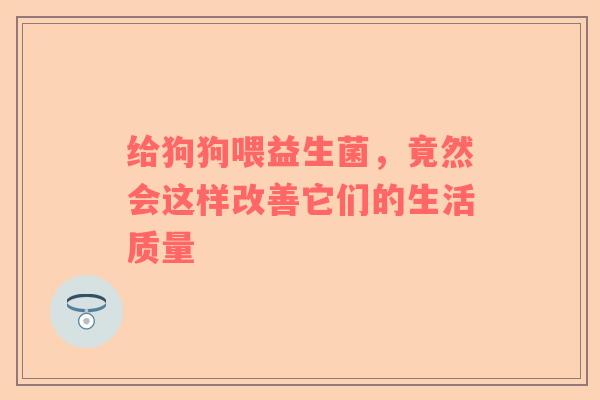 给狗狗喂益生菌，竟然会这样改善它们的生活质量