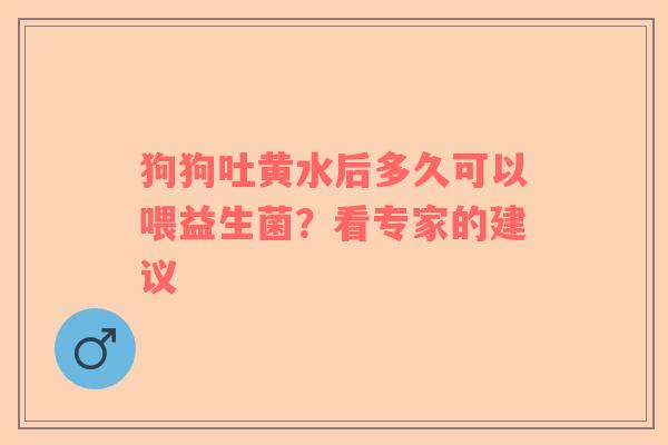 狗狗吐黄水后多久可以喂益生菌？看专家的建议