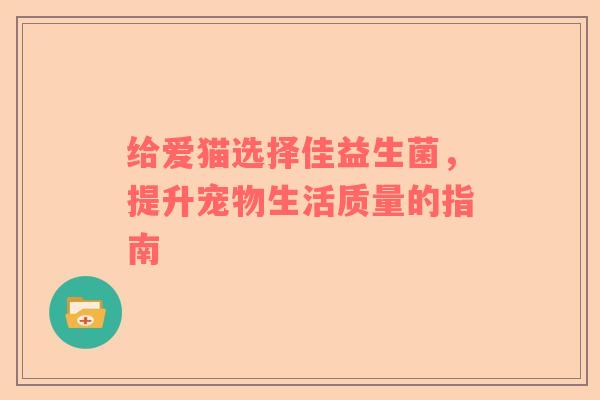 给爱猫选择佳益生菌，提升宠物生活质量的指南