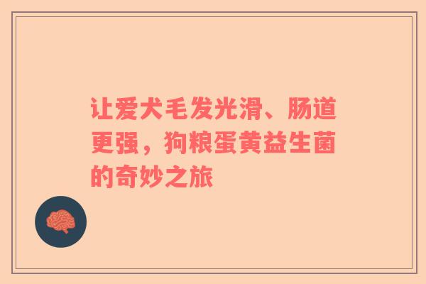 让爱犬毛发光滑、肠道更强，狗粮蛋黄益生菌的奇妙之旅