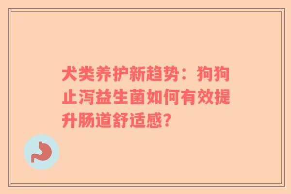 犬类养护新趋势：狗狗止泻益生菌如何有效提升肠道舒适感？