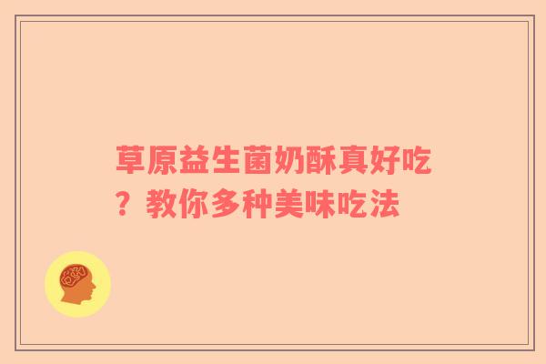 草原益生菌奶酥真好吃？教你多种美味吃法