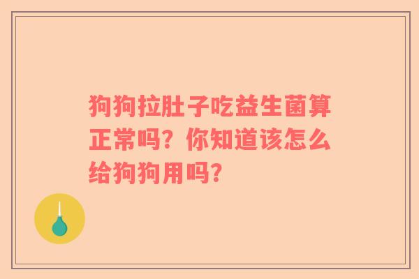 狗狗拉肚子吃益生菌算正常吗？你知道该怎么给狗狗用吗？