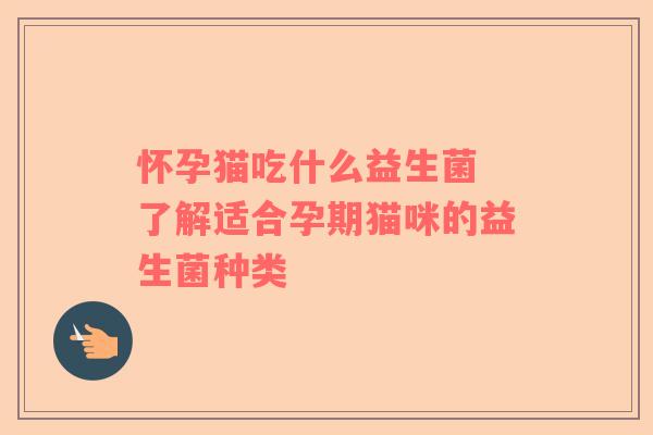 怀孕猫吃什么益生菌 了解适合孕期猫咪的益生菌种类