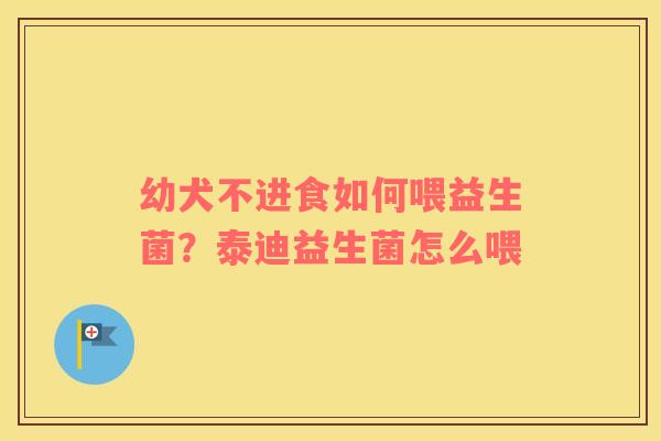 幼犬不进食如何喂益生菌？泰迪益生菌怎么喂