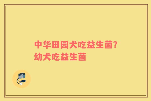 中华田园犬吃益生菌？幼犬吃益生菌