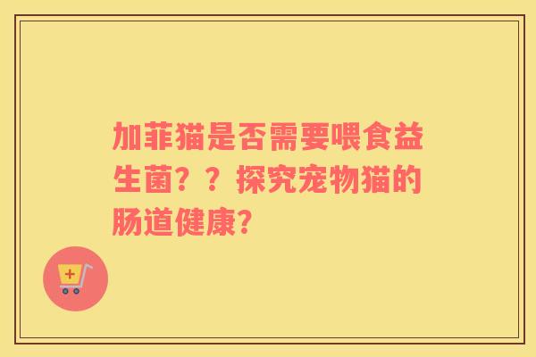 加菲猫是否需要喂食益生菌？？探究宠物猫的肠道健康？