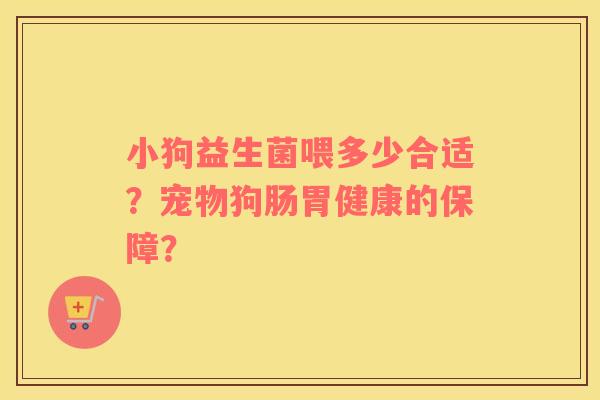 小狗益生菌喂多少合适？宠物狗肠胃健康的保障？