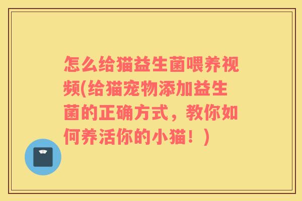 怎么给猫益生菌喂养视频(给猫宠物添加益生菌的正确方式，教你如何养活你的小猫！)