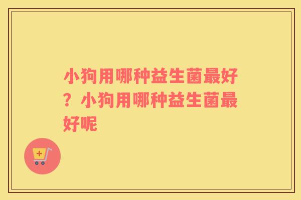小狗用哪种益生菌最好？小狗用哪种益生菌最好呢