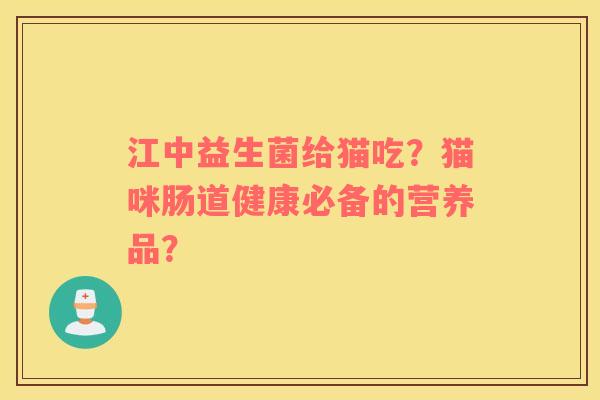 江中益生菌给猫吃？猫咪肠道健康必备的营养品？