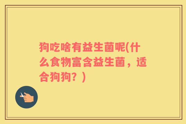 狗吃啥有益生菌呢(什么食物富含益生菌，适合狗狗？)