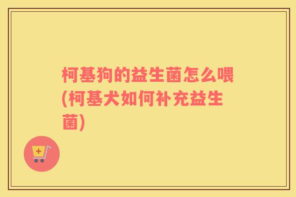 柯基狗的益生菌怎么喂(柯基犬如何补充益生菌)