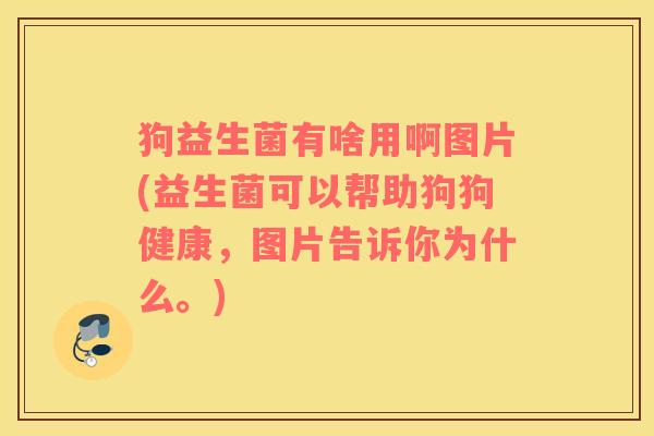 狗益生菌有啥用啊图片(益生菌可以帮助狗狗健康，图片告诉你为什么。)