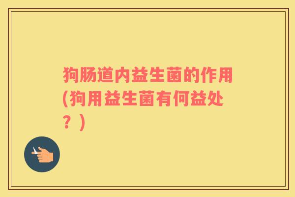 狗肠道内益生菌的作用(狗用益生菌有何益处？)