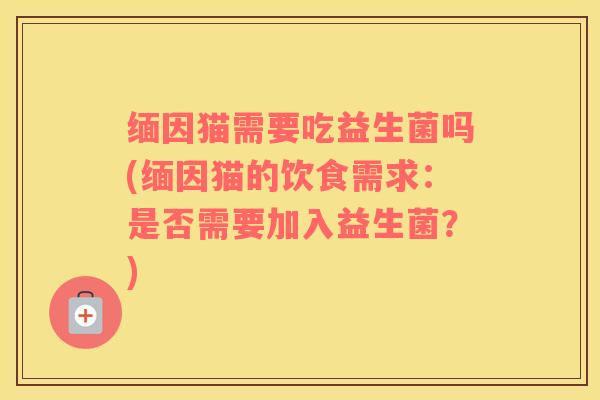 缅因猫需要吃益生菌吗(缅因猫的饮食需求：是否需要加入益生菌？)