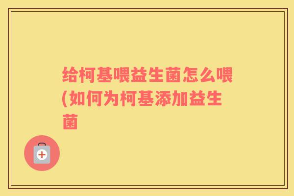 给柯基喂益生菌怎么喂(如何为柯基添加益生菌