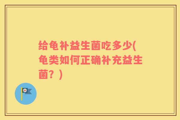 给龟补益生菌吃多少(龟类如何正确补充益生菌？)