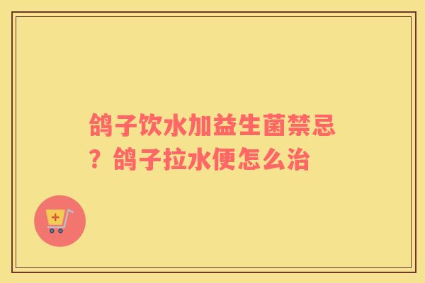 鸽子饮水加益生菌禁忌？鸽子拉水便怎么治