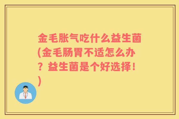 金毛胀气吃什么益生菌(金毛肠胃不适怎么办？益生菌是个好选择！)