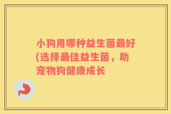 小狗用哪种益生菌最好(选择最佳益生菌，助宠物狗健康成长